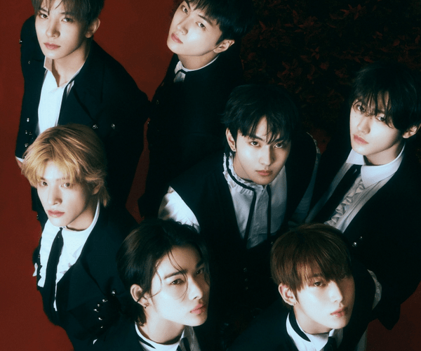 Enhypen | Exclusive Collection | Kpop Exchange