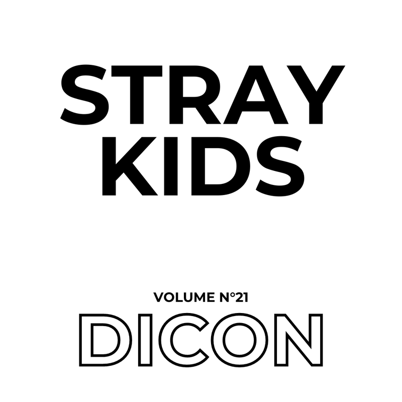 STRAY KIDS DICON VOLUME N°21 : Stay Cool