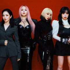 2NE1 - Kpop Exchange