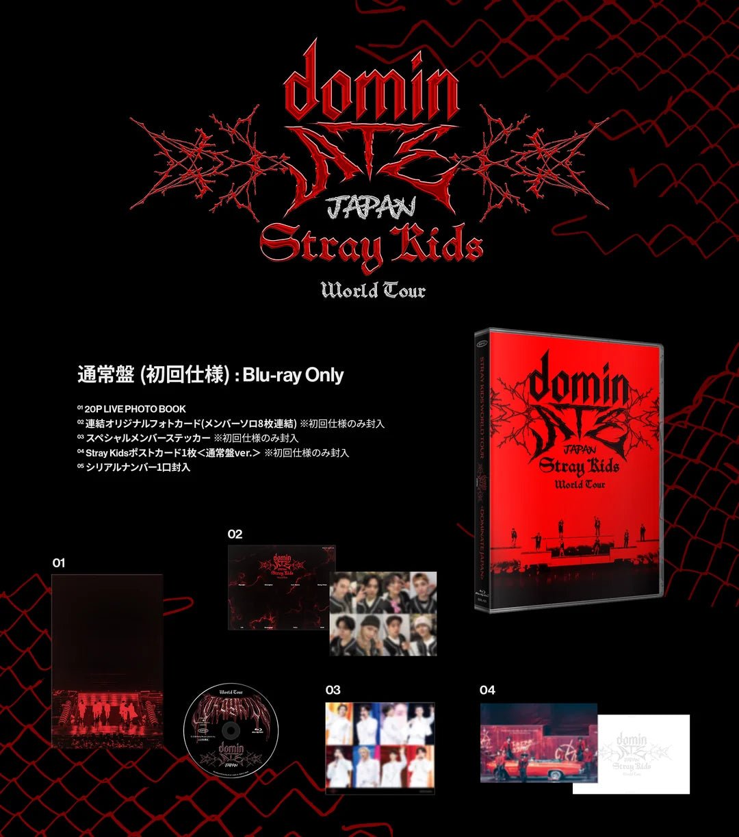 Stray Kids World Tour dominATE JAPAN Blu-ray Regular Edition