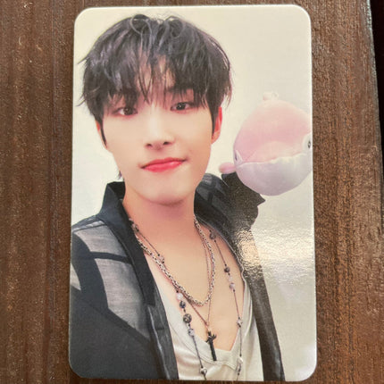 ateez golden hour dolphin pc