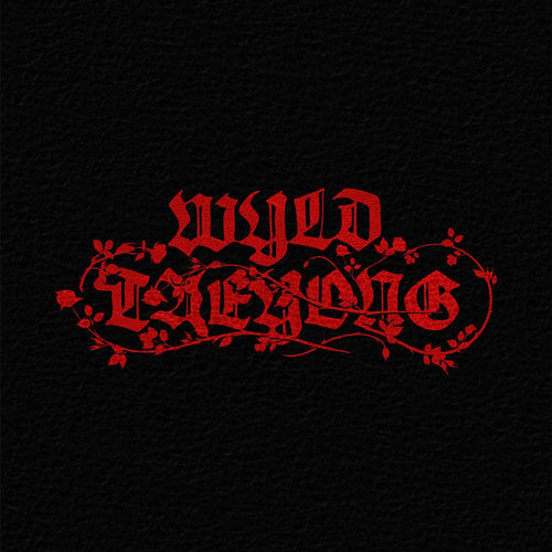 NCT Taeyong 1st Full Album WYLD WYLD BOOK version Pre-Order preview
