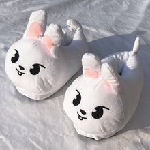 Load image into Gallery viewer, Stray Kids Skzoo Indoor Plush Slippers