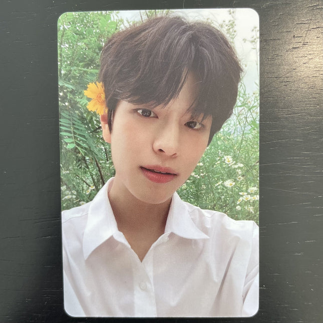 Stray Kids NO EASY Limited Ver. POB Photocard