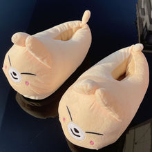 Load image into Gallery viewer, Stray Kids Skzoo Indoor Plush Slippers