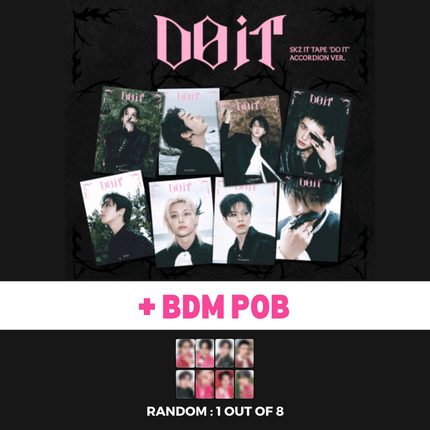 stray kids do it accordion BDM