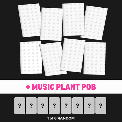 stray kids this and that accordion