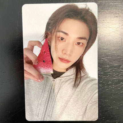 Stray Kids THIS & THAT FANS SHOP POB Photocard