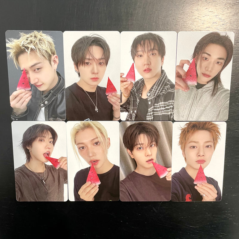 Stray Kids THIS & THAT FANS SHOP POB Photocard