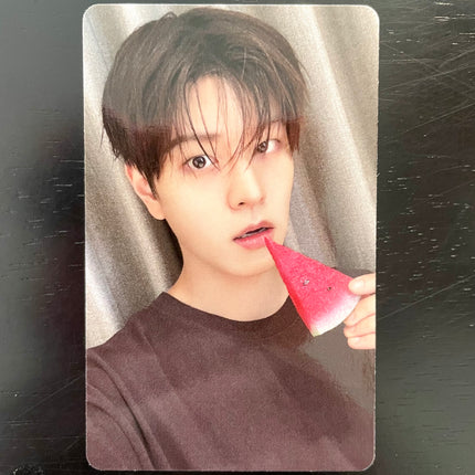 Stray Kids THIS & THAT FANS SHOP POB Photocard