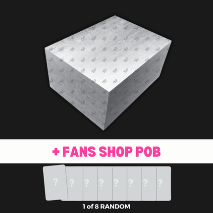 Stray kids this and that album preorder Limited Truck Edition Fans Shop POB 
