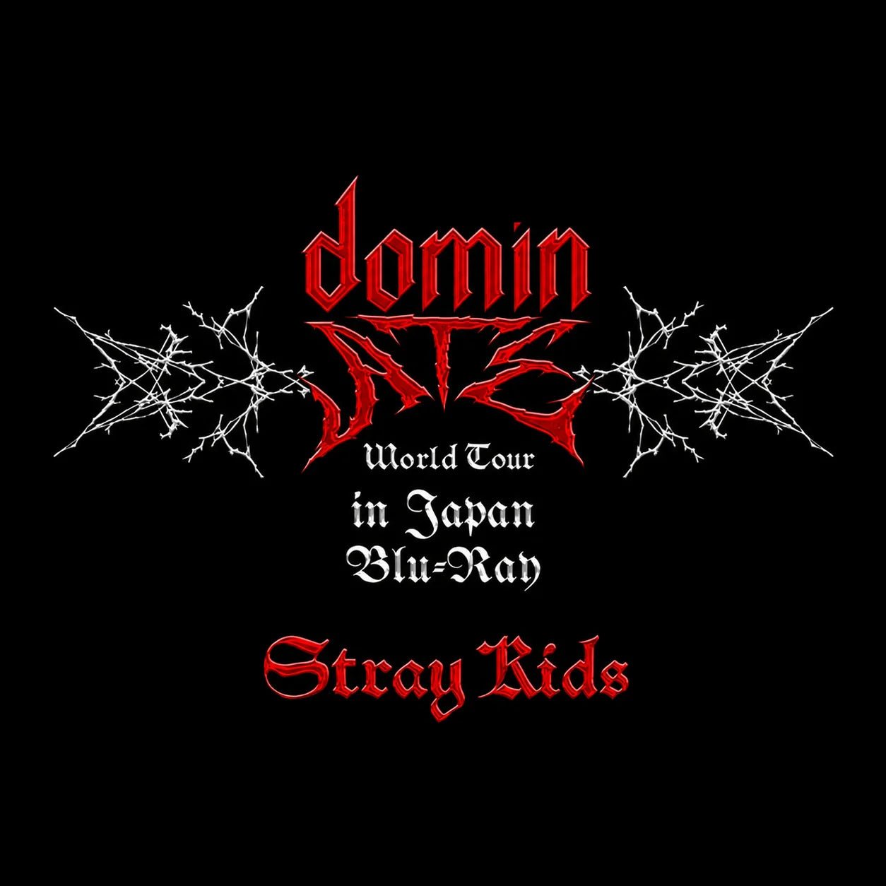 Stray Kids World Tour dominATE JAPAN Blu-ray Regular Edition Stray Kids World Tour dominATE JAPAN Blu-ray Regular Edition