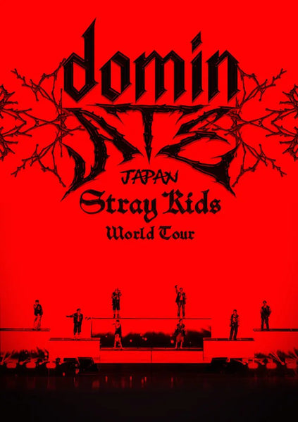 straykids dominATE JAPAN ブルーレイ 映画半券 タワレコ Stray Kids World Tour dominATE JAPAN Blu-ray Regular Edition