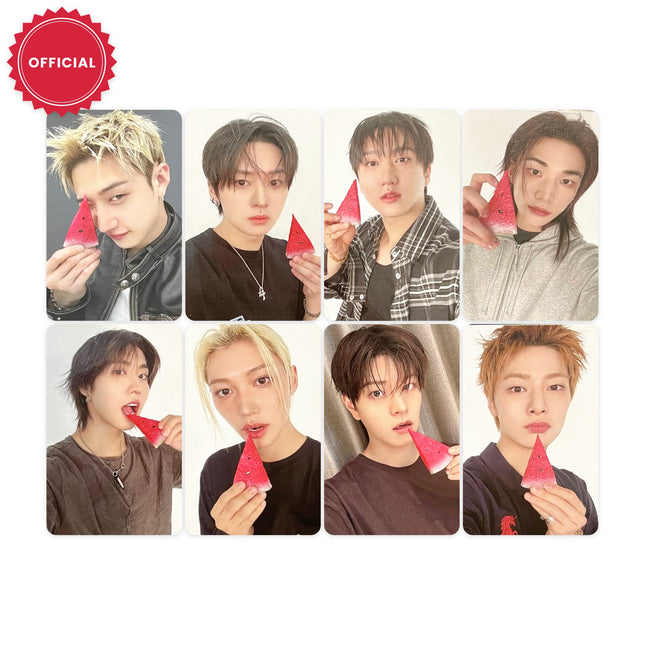 Stray Kids THIS & THAT FANS SHOP POB Photocard -  official photocard, 55 x 85 mm