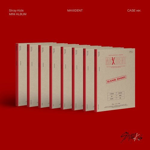 Stray Kids Maxident Case Ver
